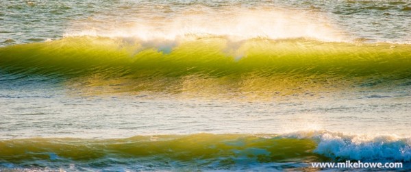 Photo: Mike Alexander