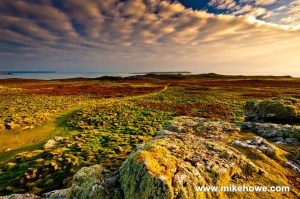 Photo: Mike Alexander