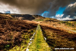 Photo: Mike Alexander