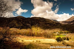 Photo: Mike Alexander