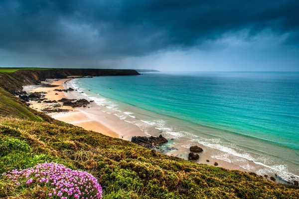 Photo: Mike Alexander