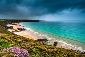 Photo: Mike Alexander