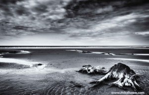 Photo: Mike Alexander