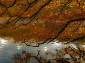 Photo: Mike Alexander