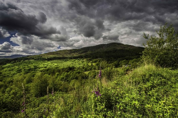 Photo: Mike Alexander