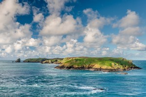 Photo: Mike Alexander