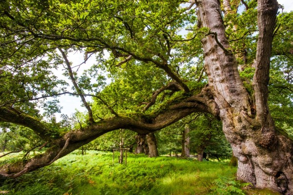 Photo: Mike Alexander