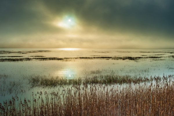 Photo: Mike Alexander