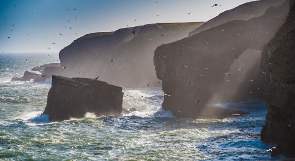 Photo: Mike Alexander