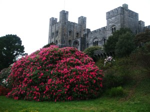 Penryhn Castle 2