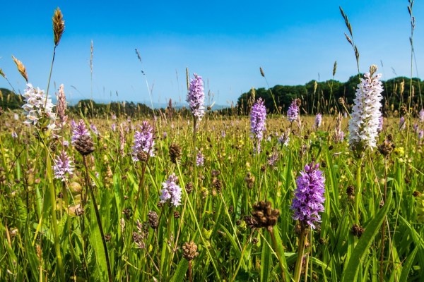 Photo: Mike Alexander