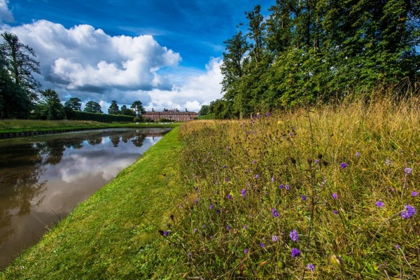 Photo: Mike Alexander