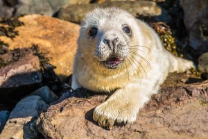 Photo: Mike Alexander