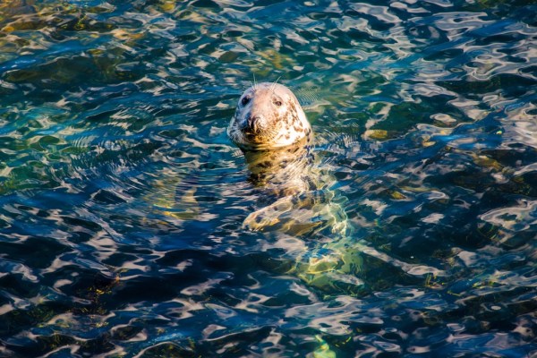 Photo: Mike Alexander