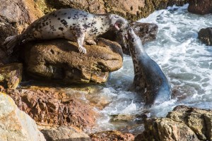 Photo: Mike Alexander