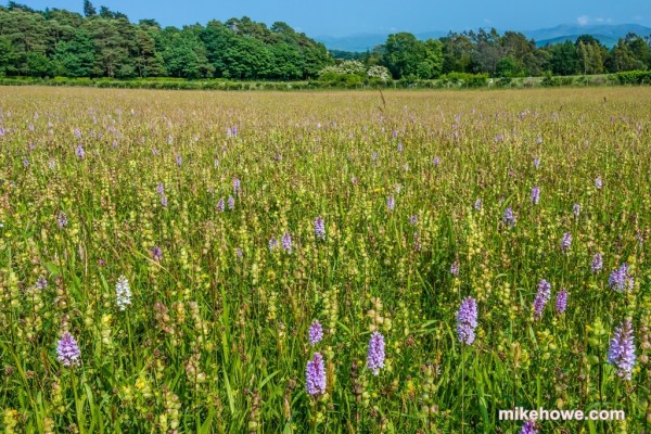 Photo: Mike Alexander