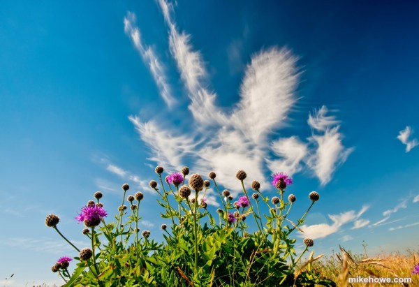 Photo: Mike Alexander