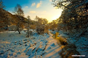 Photo: Mike Alexander