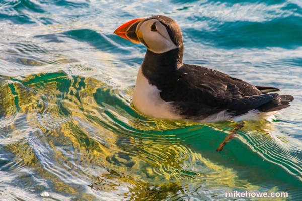 Photo: Mike Alexander