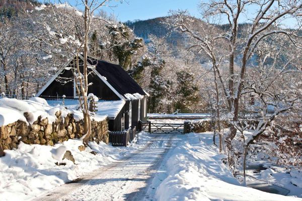 Photo: Mike Alexander