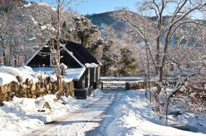 Photo: Mike Alexander