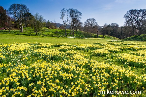 Photo: Mike Alexander