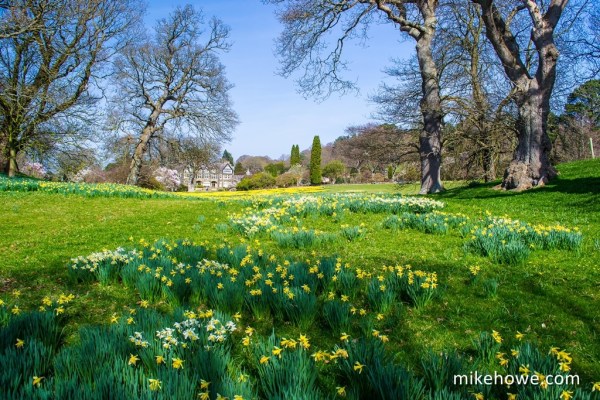 Photo: Mike Alexander