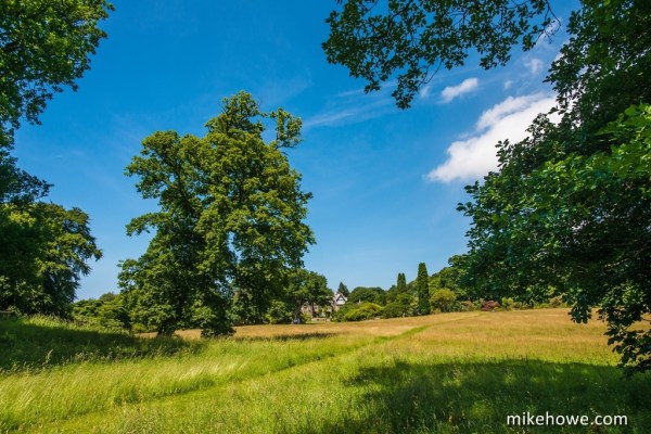 Photo: Mike Alexander