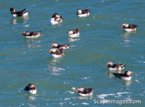 Photo: Mike Alexander, scapeimages.com