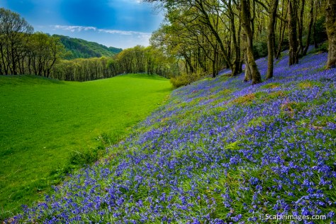 Photo: Mike Alexander - scapeimages.com