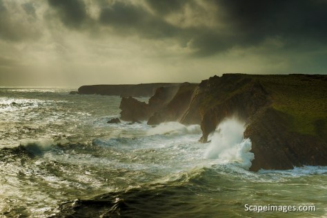 Photo: Mike Alexander - scapeimages.com