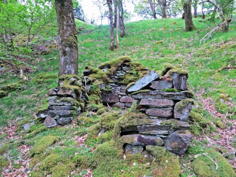 Coed Crafnant archaeology