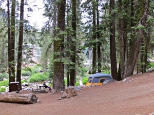 Sequoia camp