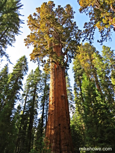General Sherman 1