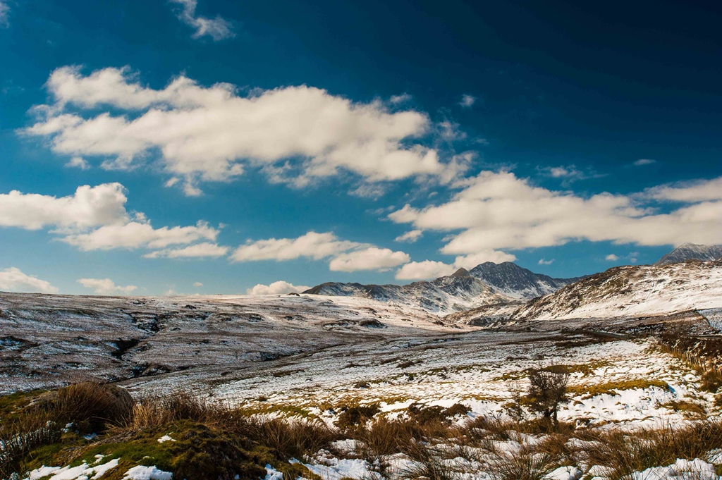 Photo: Mike Alexander