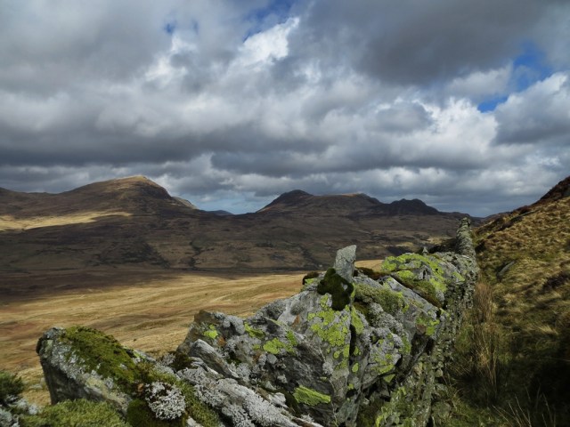 Lichens on a mountain wall Photo: Mike Howe