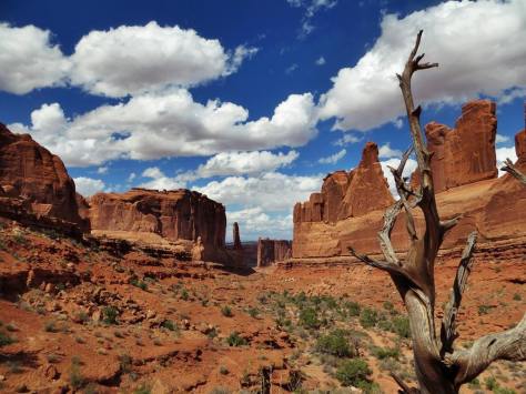 640AD439-26D3-4BD7-90FB-09A9F58C9D1A