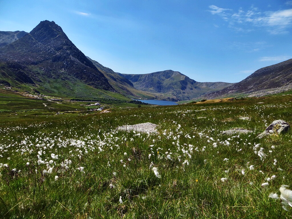 F6280419-32E1-4205-B15A-6453663CF0C2