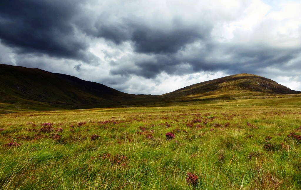 861D8634-CEC2-4330-BA04-E6371504C873