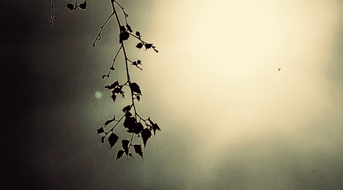 Introducing my new song ‘long before’